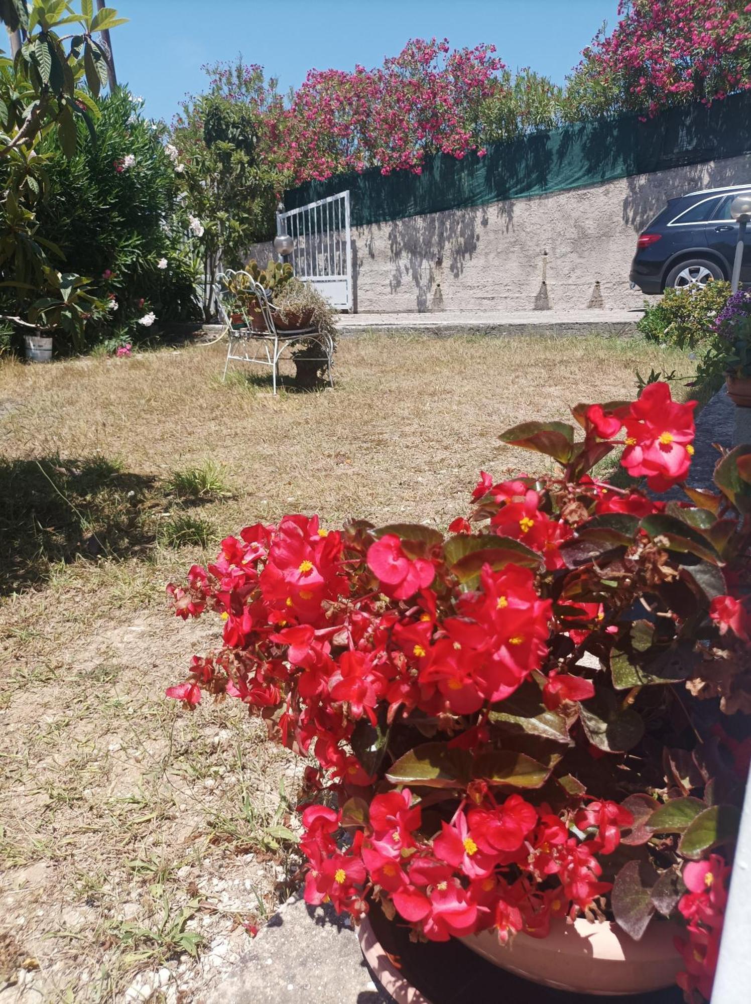 Villa Giardino Degli Oleandri Palinuro Dış mekan fotoğraf